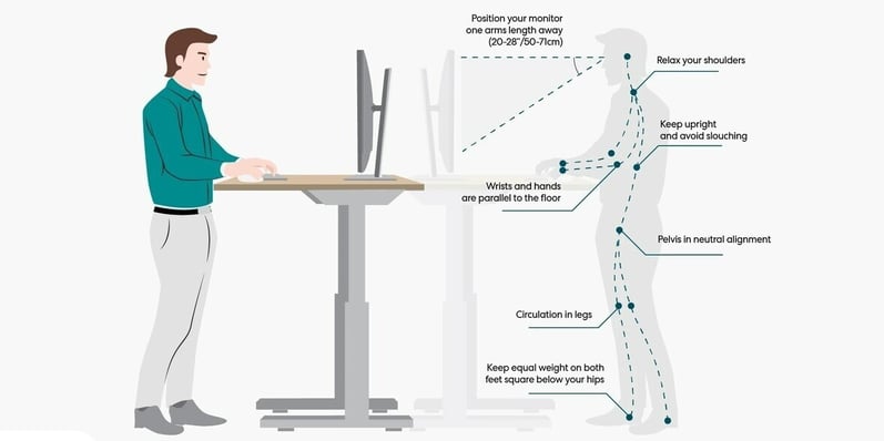 Standing tall above Erganomics-1