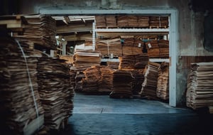 Sustainability Above Environmental